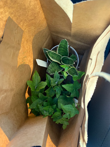 Garden Center «Terrain», reviews and photos, 561 Post Rd E, Westport, CT 06880, USA