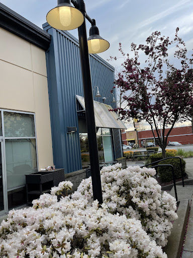 Sandwich Shop «Panera Bread», reviews and photos, 1320 Marvin Rd NE, Lacey, WA 98516, USA