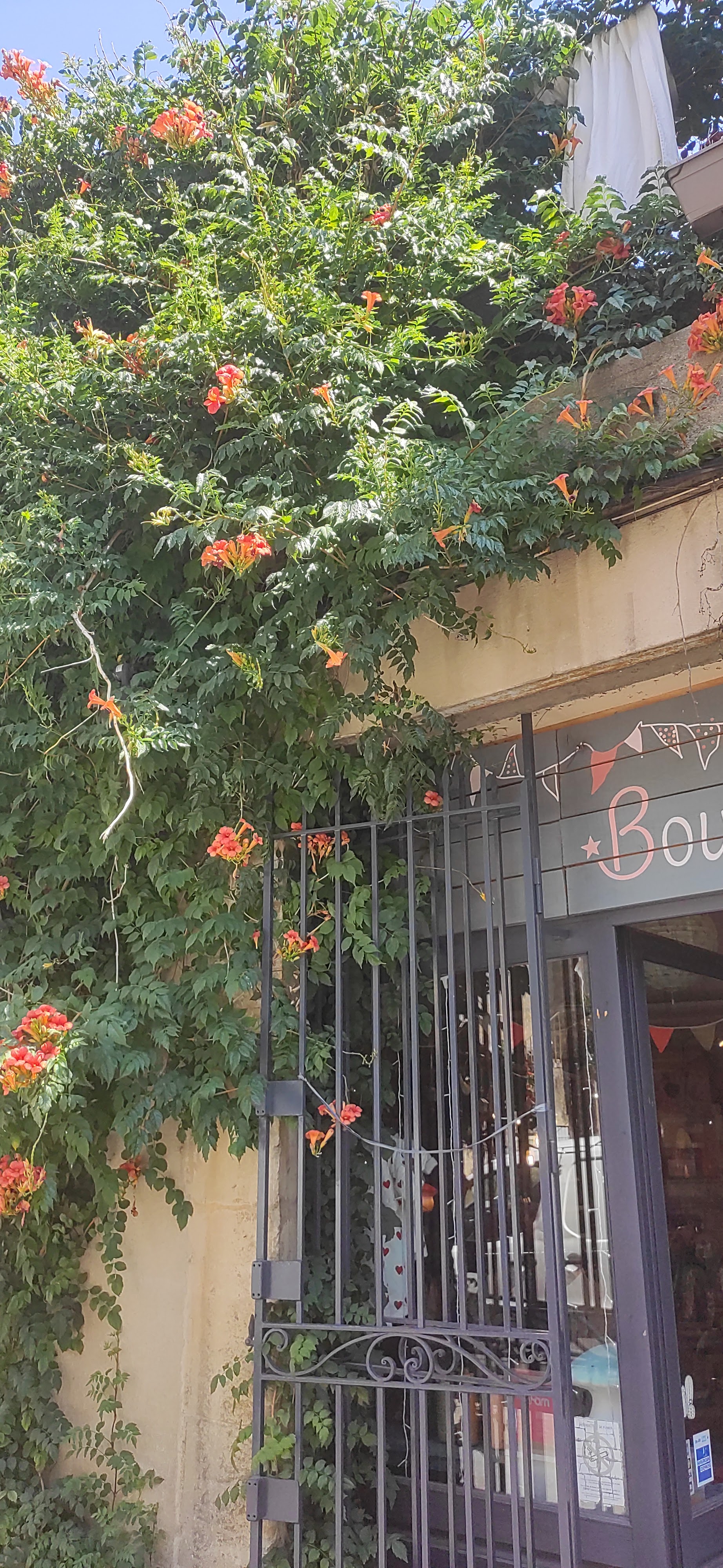 Photo n° 4 de l'avis de Céline.e fait le 11/08/2022 à 14:01