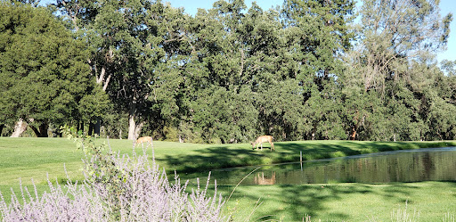 Grocery Store «Mar-Val Food Stores Inc», reviews and photos, 19000 Main St, Groveland, CA 95321, USA