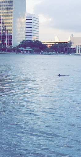 Tourist Attraction «Southbank Riverwalk», reviews and photos, 1001 Museum Cir, Jacksonville, FL 32202, USA