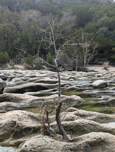 Gaines Creek and Twin Falls Access Point of Barton Creek Greenbelt image 8