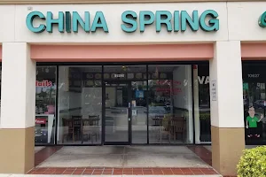 China Spring Chinese Restaurant image
