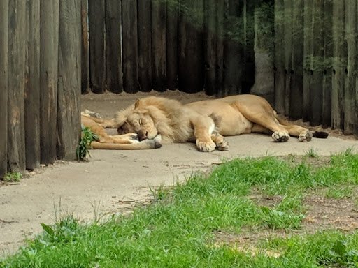 Zoo «Cleveland Metroparks Zoo», reviews and photos, 3900 Wildlife Way, Cleveland, OH 44109, USA