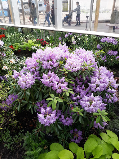 Gift Shop «Meijer Gardens Gift Shop», reviews and photos, 1000 E Beltline Ave NE, Grand Rapids, MI 49525, USA