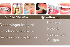 Dentistas ORTHIX Chihuahua image