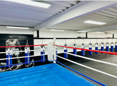 The Punch Boxing Tilburg - Ringbaan Noord 105c, 5046 AA Tilburg, Netherlands