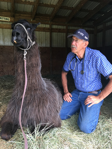 215 Bolinger Rd, Belgrade, MT 59714, USA