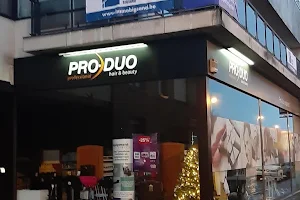 Pro-Duo image