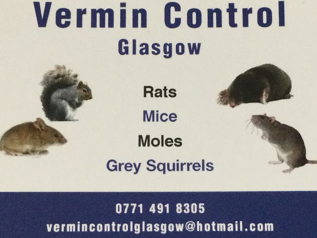 Vermin Control Glasgow - Pest control service