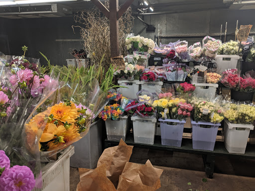 Florist «Austin Flower Co», reviews and photos, 1612 W 35th St, Austin, TX 78703, USA