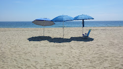 Edgewater Beach'in fotoğrafı kısmen tatil bölgesi