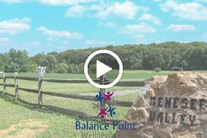 Balance Point Wellness, LLC image