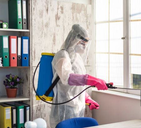 Scenic City Pest Control Solutions