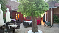 Atmosphère du Restaurant indien Mangalore Lounge à La Celle-Saint-Cloud - n°12