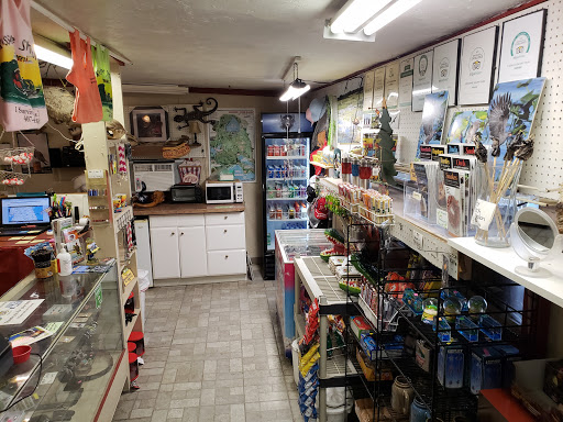 Recreation «Kissimmee Swamp Tours», reviews and photos, 4500 Joe Overstreet Rd, Kenansville, FL 34739, USA