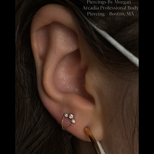 Explore brick tattoo ideas, creative tattoo ideas in Boston, available at Arcadia Body Piercing