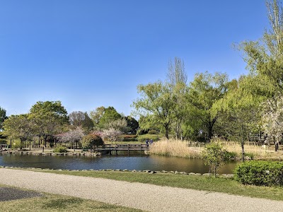 修景池