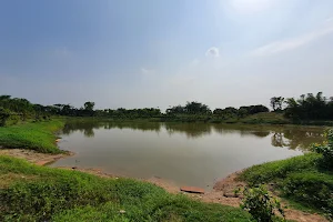 Adina Eco Tourism Park image