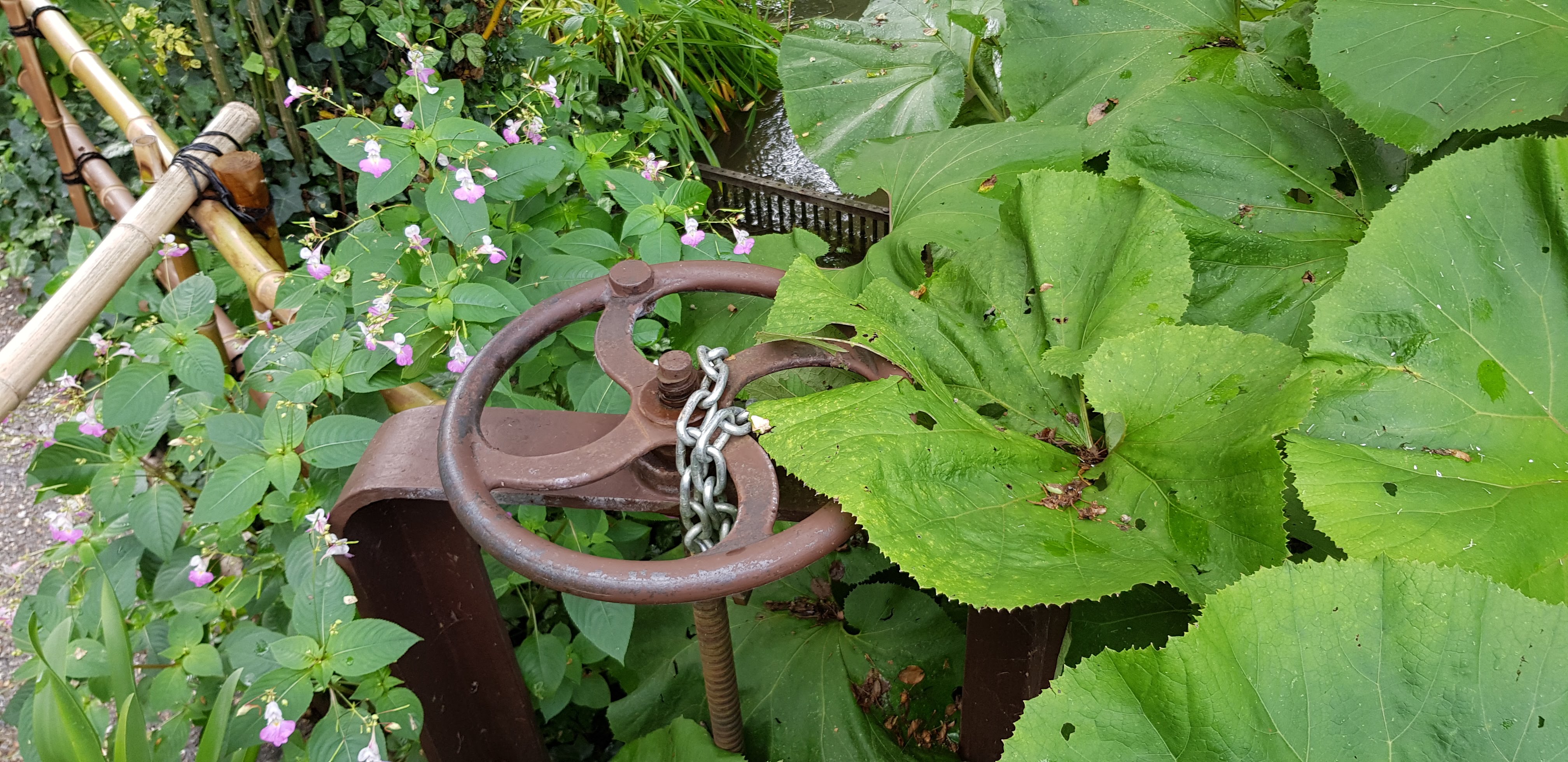 Photo n° 9 de l'avis de Jean.a fait le 05/08/2021 à 15:34