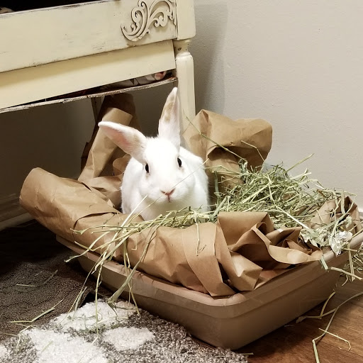 Pet Supply Store «PetSmart», reviews and photos, 7616 Denton Hwy #532, Watauga, TX 76148, USA