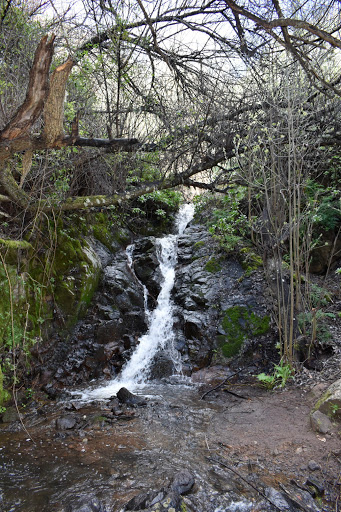 Barranco de La Mina