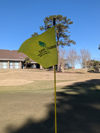 Golf Course «Diamondhead Golf Course», reviews and photos, 7600 Country Club Cir, Diamondhead, MS 39525, USA