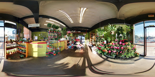 Florist «Austin Flower Co», reviews and photos, 1612 W 35th St, Austin, TX 78703, USA