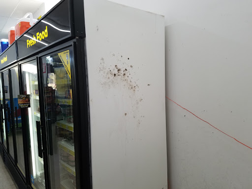 Discount Store «Dollar General», reviews and photos, 936 Gainesville Hwy, Buford, GA 30518, USA