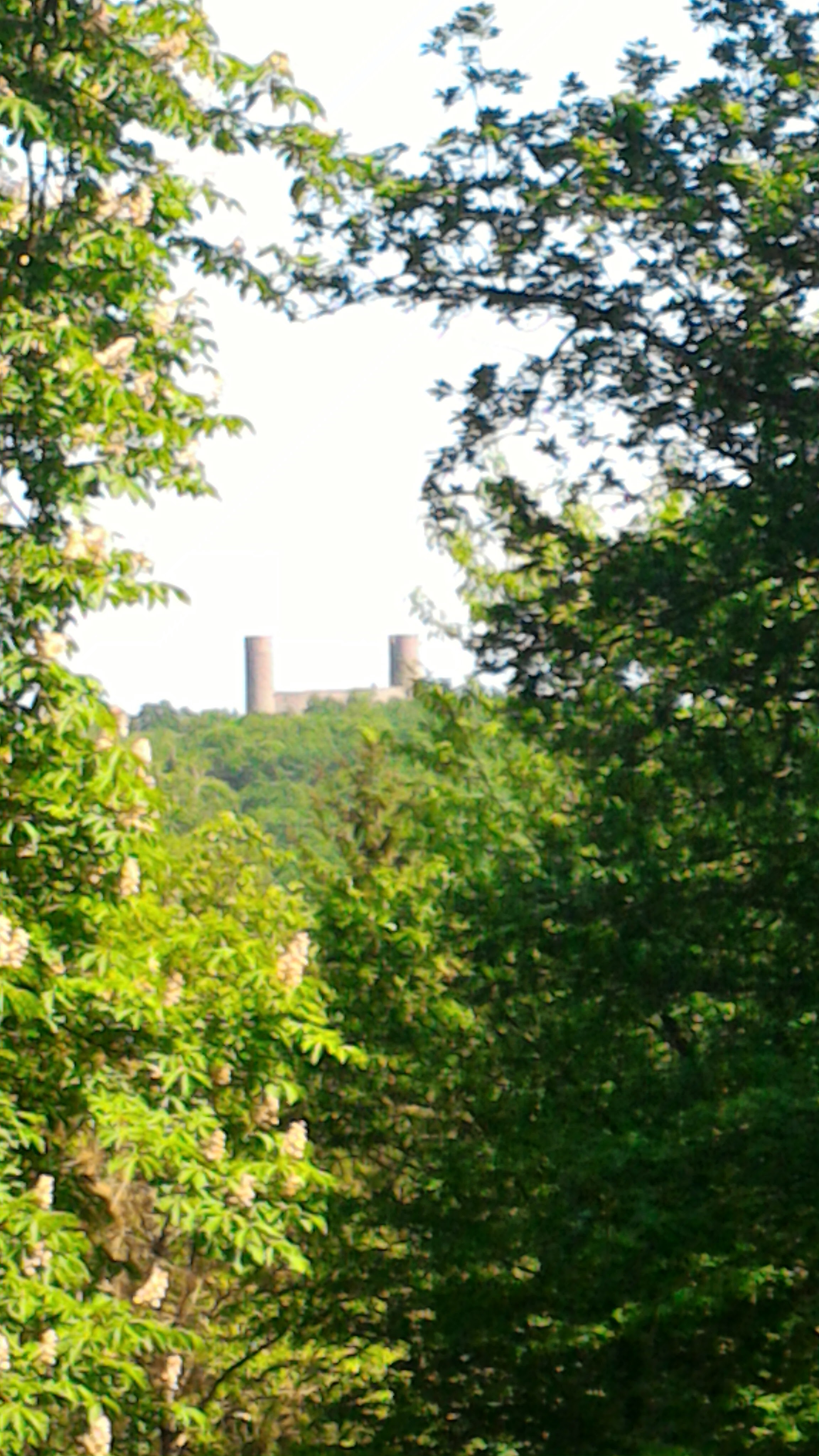 Photo n° 1 de l'avis de Angélique.e fait le 06/05/2018 à 14:15