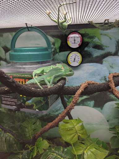 Pet Supply Store «Petco Animal Supplies», reviews and photos, 6140 University Dr, Huntsville, AL 35806, USA