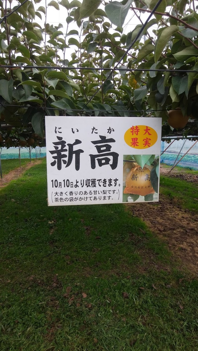 園 中村 観光 果樹