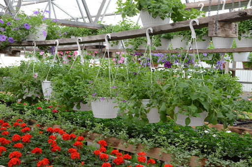 Florist «Powell the Florist», reviews and photos, 1215 Liberty Dr, Mishawaka, IN 46545, USA