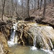 Falls Ridge Preserve