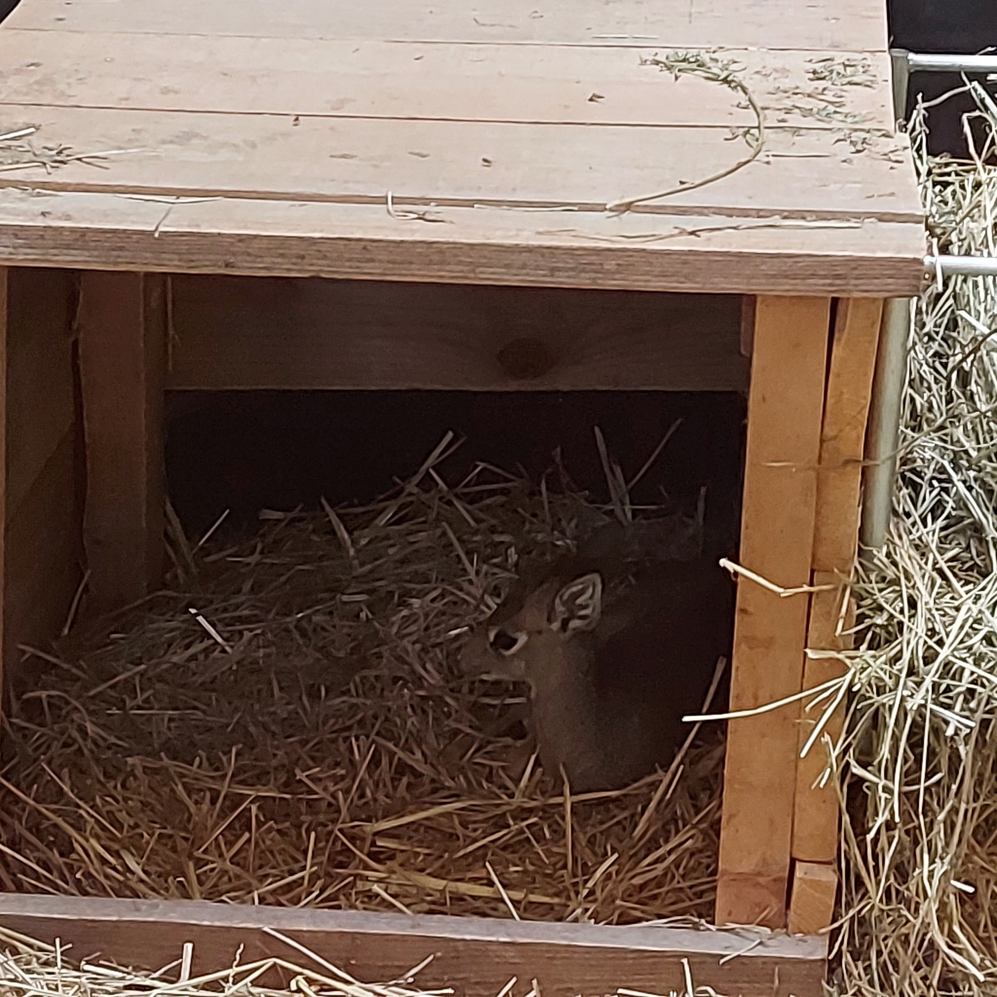 Photo n° 1 de l'avis de B.B.a fait le 13/08/2023 à 16:45