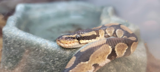 Pet Supply Store «Petco Animal Supplies», reviews and photos, 1500 N Town E Blvd, Mesquite, TX 75150, USA