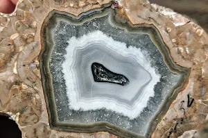 Basin Range Geolapidary Museum image