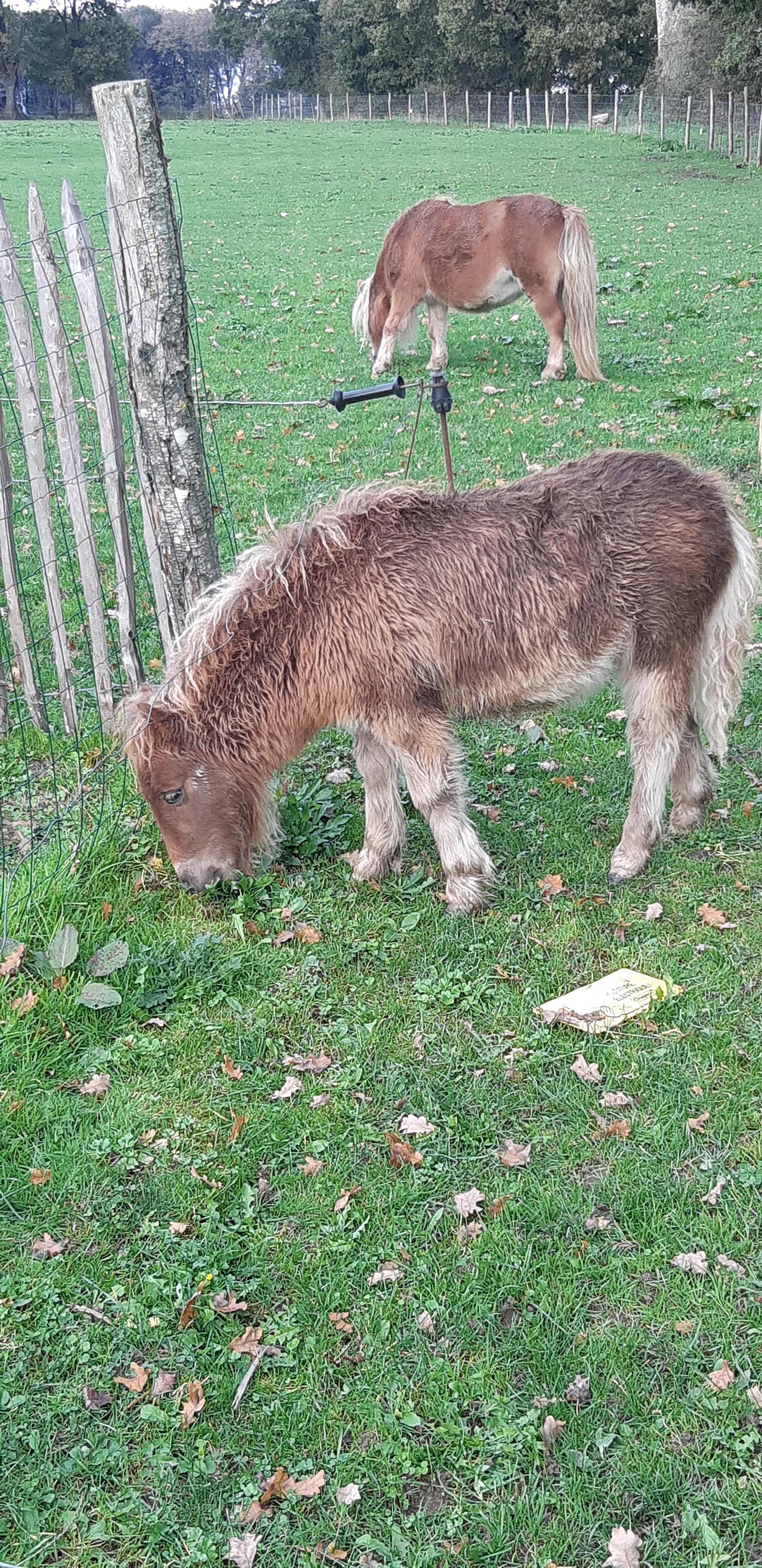 Photo n° 8 de l'avis de Yannick.a fait le 27/10/2019 à 14:17