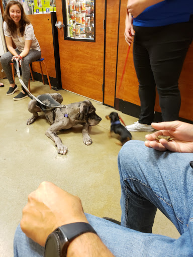 Pet Supply Store «PetSmart», reviews and photos, 948 Springfield Rd, Union, NJ 07083, USA