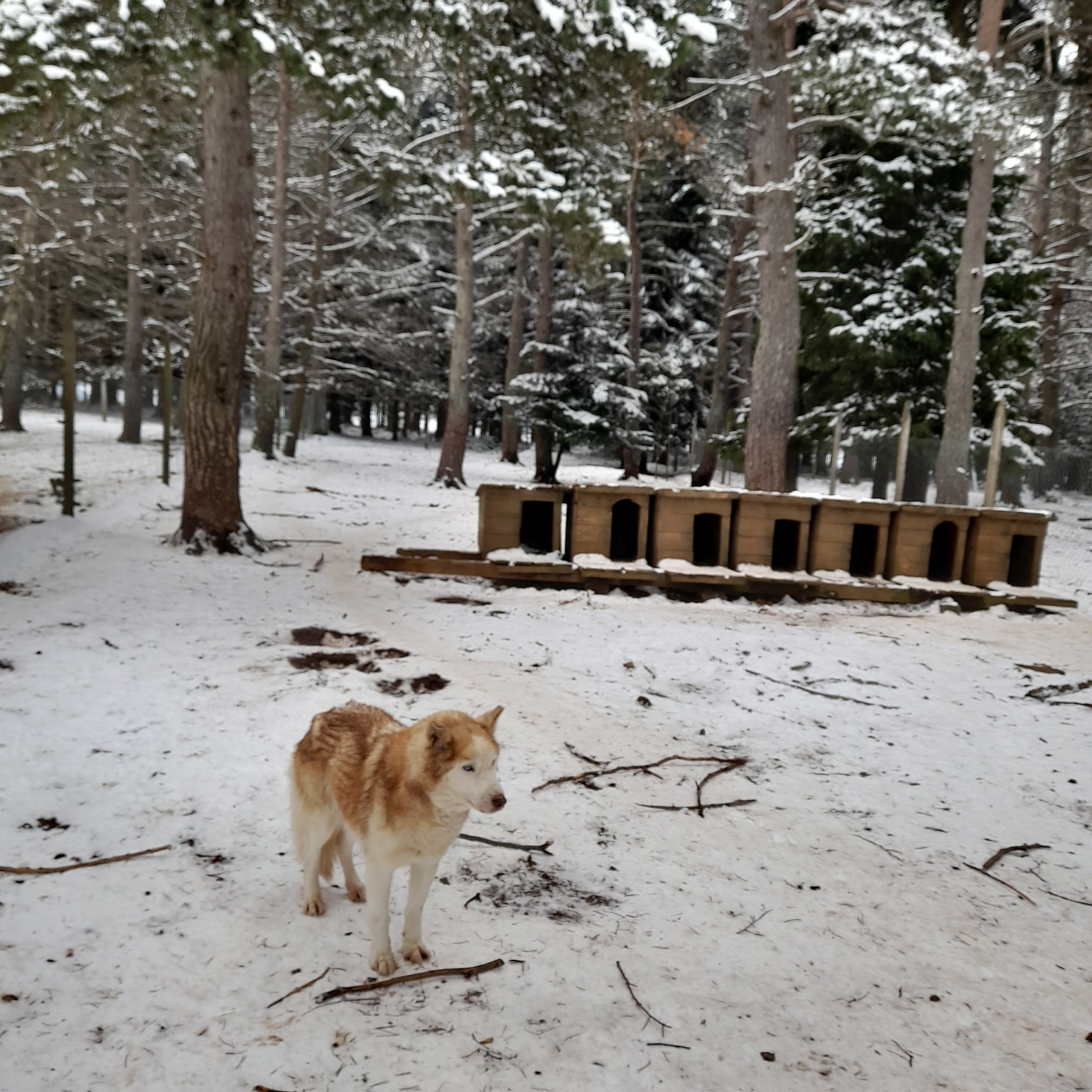 Photo n° 2 de l'avis de Angélique.o fait le 06/03/2023 à 19:35
