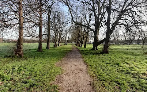 Castle Grove Park image