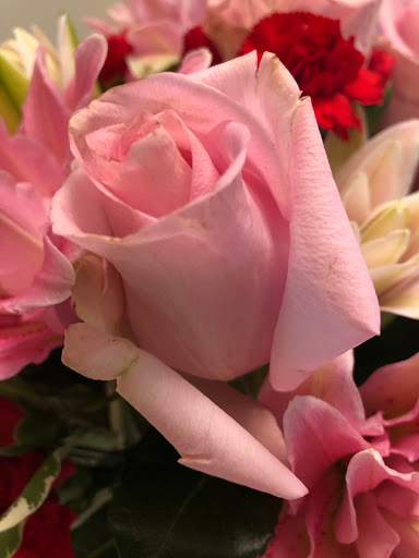 Florist «Flowers and Balloons by Anna», reviews and photos, 1054 S Mary Ave, Sunnyvale, CA 94087, USA