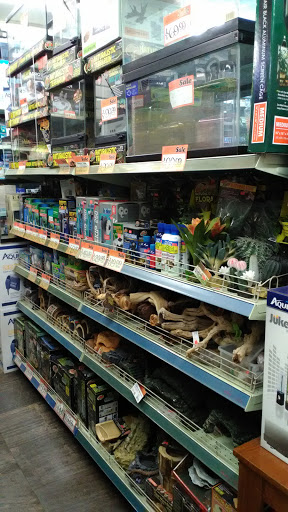 Pet Store «Pet Central», reviews and photos, 1411 Powell St, San Francisco, CA 94109, USA