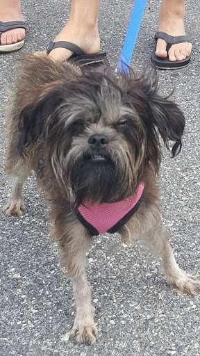 Pet Supply Store «Concord Pet Foods & Supplies», reviews and photos, 340 E Main St, Middletown, DE 19709, USA