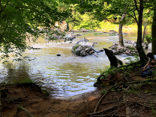 Cole Mill Trail