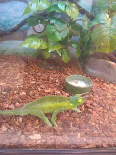 Pet Supply Store «Petco Animal Supplies», reviews and photos, 1086 Killingly Commons Drive, Dayville, CT 06241, USA