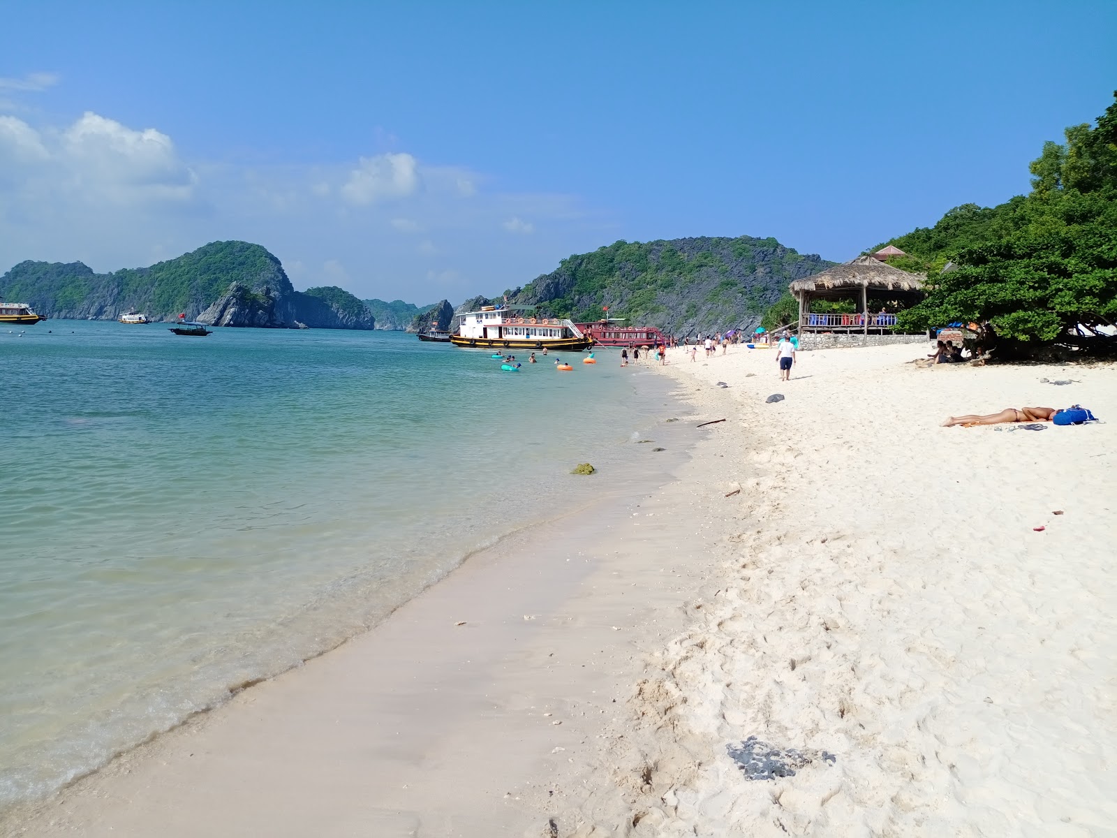 Foto de Monkey Island beach con arena beige superficie