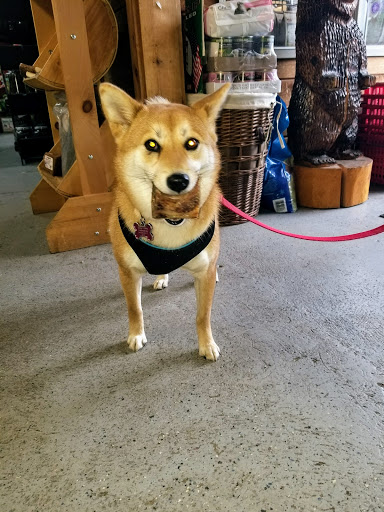 Pet Supply Store «Cheshire Cat & Dog Too», reviews and photos, 1320 Waterbury Rd, Cheshire, CT 06410, USA