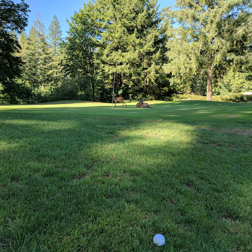 Golf Course «Elkhorn Valley Golf Course», reviews and photos, 32295 N Fork Rd, Lyons, OR 97358, USA