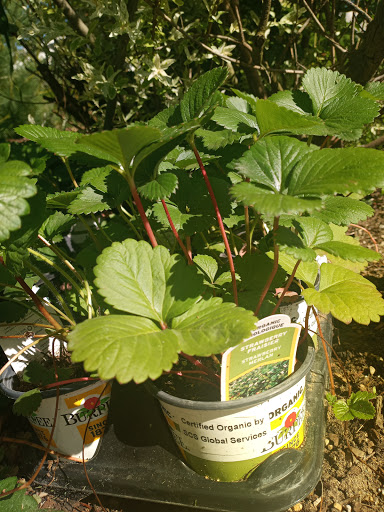 Home Improvement Store «Menards», reviews and photos, 3588 Page Ave, Jackson, MI 49203, USA